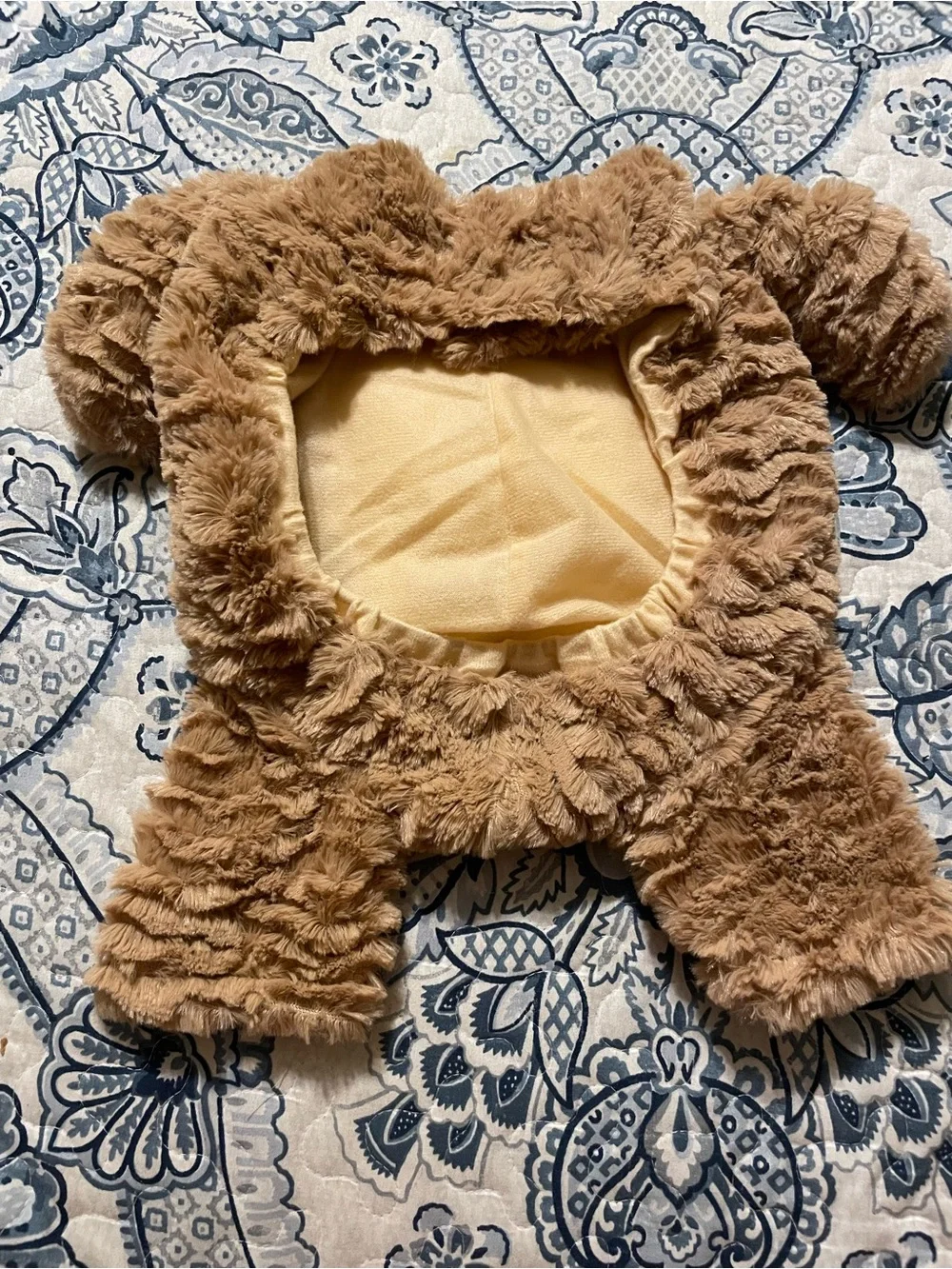 Cute dog costume
